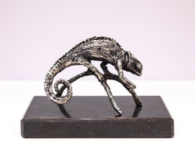 Chameleon Malcolm Solomon Sculpture JULIE MILLER AFRICAN CONTEMPORARY