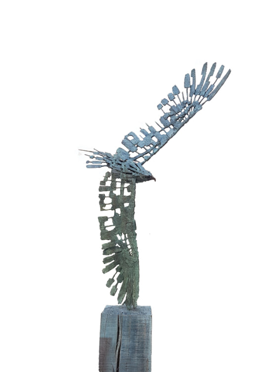 Exposed Eagle Malcolm Solomon Sculpture JULIE MILLER AFRICAN CONTEMPORARY